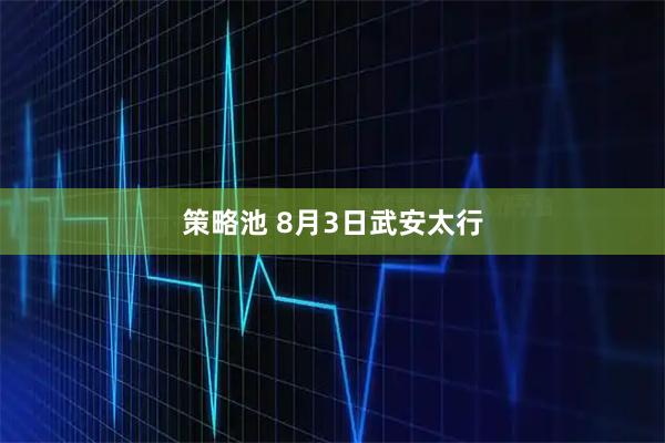 策略池 8月3日武安太行